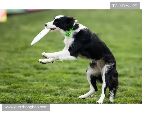 上海飞盘队在极限运动世界杯中的个人能力表现分析与点评