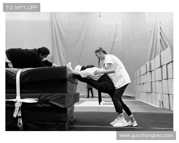 南京羽毛球队逆袭之路揭秘挑战赛背后的奋斗与荣耀