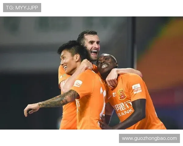 尼日尼亚与几内亚精彩对决直播全程回顾与分析