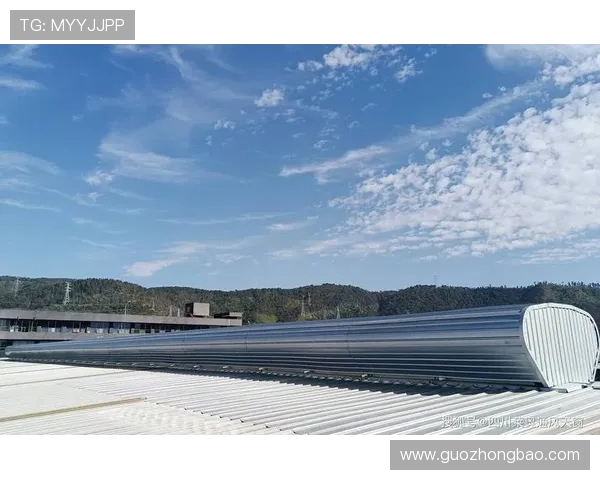 莱奥的成长之路:从少年梦想到足球巨星的辉煌历程 莱奥的成长之路:从少年梦想到足球巨星的辉煌历程