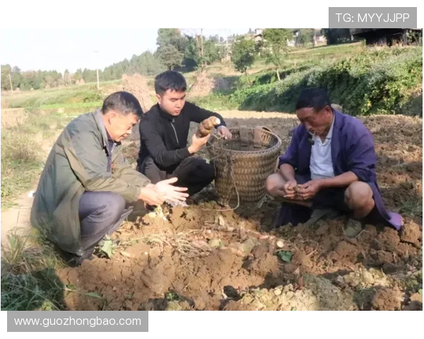 钟诚：在时代浪潮中勇敢追梦的青年榜样与奋斗故事