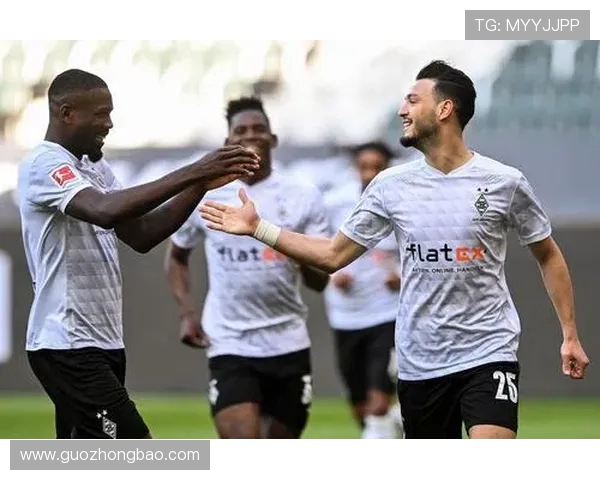 门兴格拉德巴赫与哈夫柏林的精彩对决分析与赛季展望