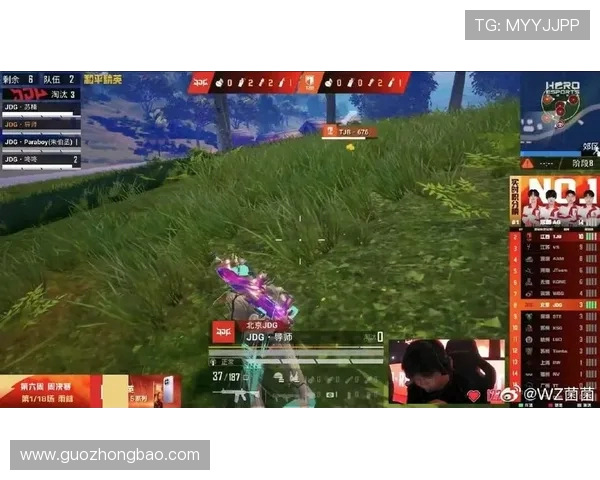 和平精英战术深度解析：揭秘JDG战队的制胜之道与策略运用