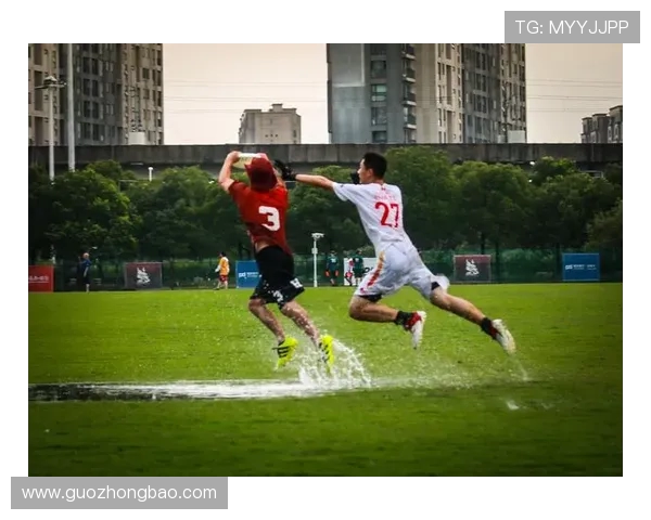 飞盘盛宴：深入了解成都飞盘队的团队合作与精神风貌